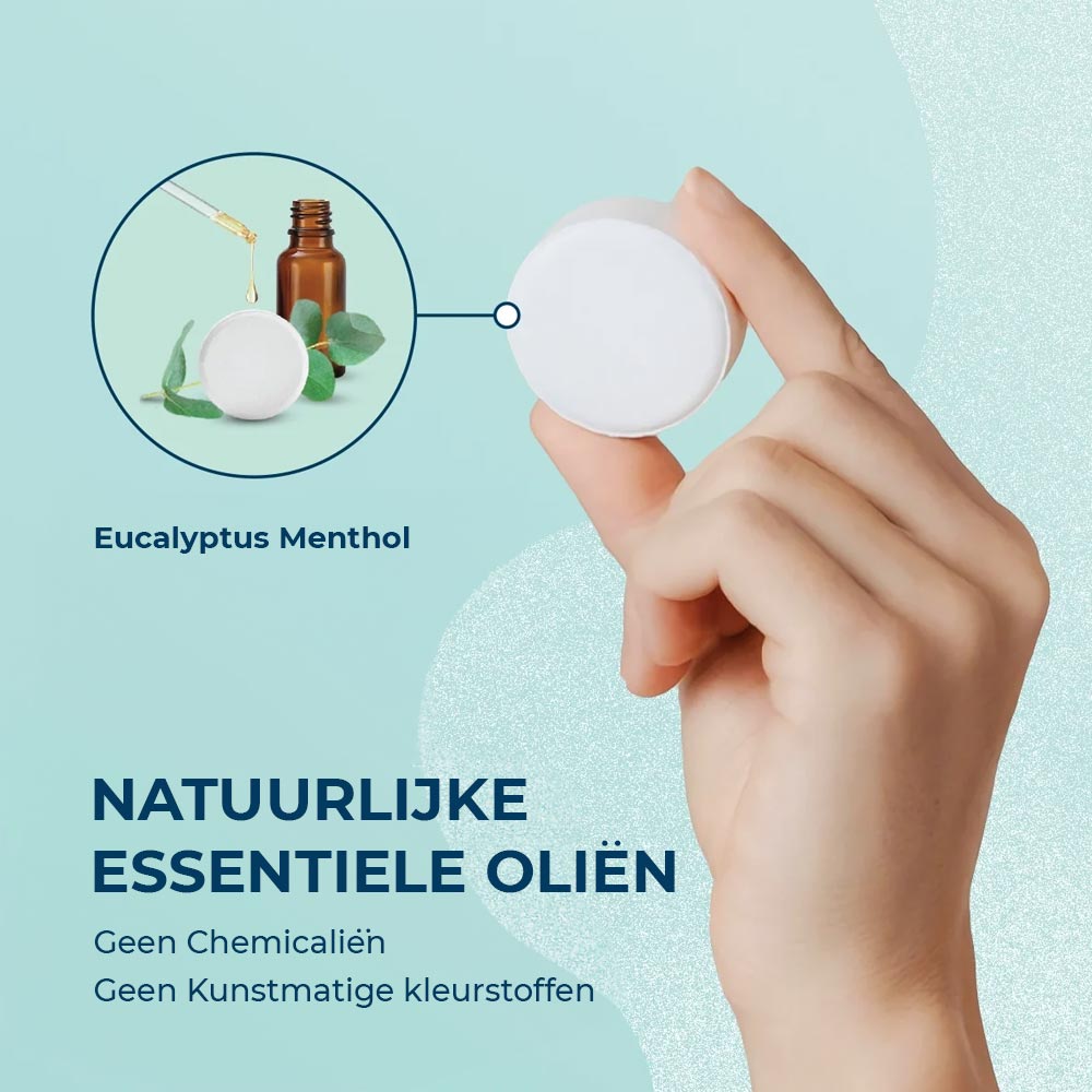 Eukalyptus-Duschdampfer – 6er-Geschenkpackung
